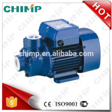 0.5 hp water pump